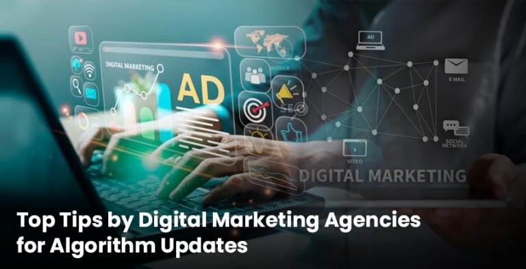 SEO algorithm updates