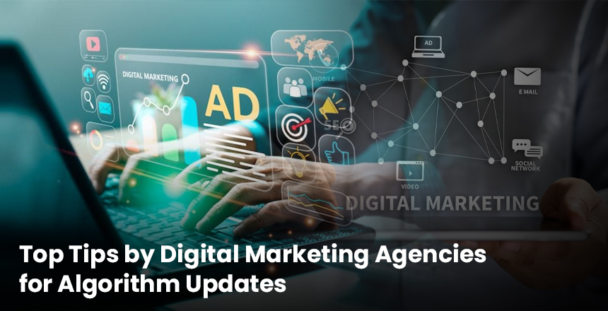 SEO algorithm updates