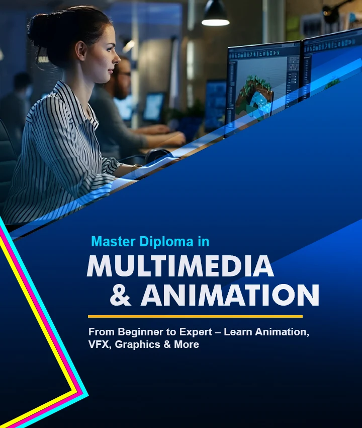 Master Diploma in Multimedia and Animation